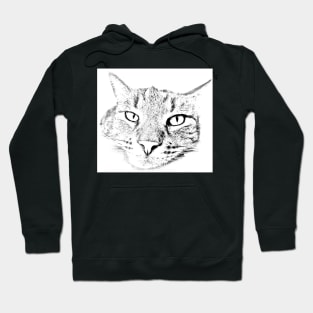 Sleep Cat Face Hoodie